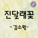 김소월 진달래꽃_01