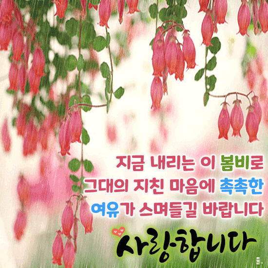 봄비 마중