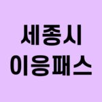 세종시 이응패스