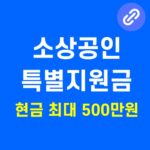 소상공인 정부지원금
