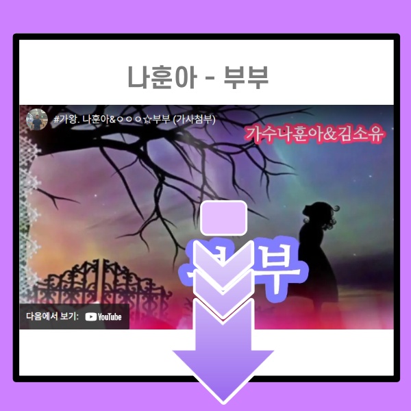 나훈아-부부