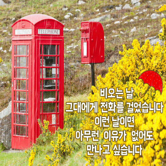 비 내리는 이런 날