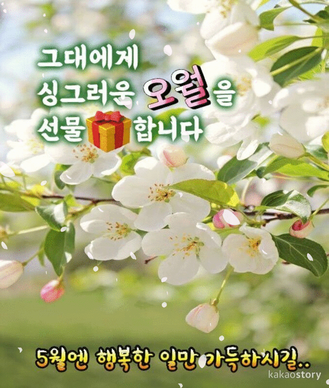 오월 찬가