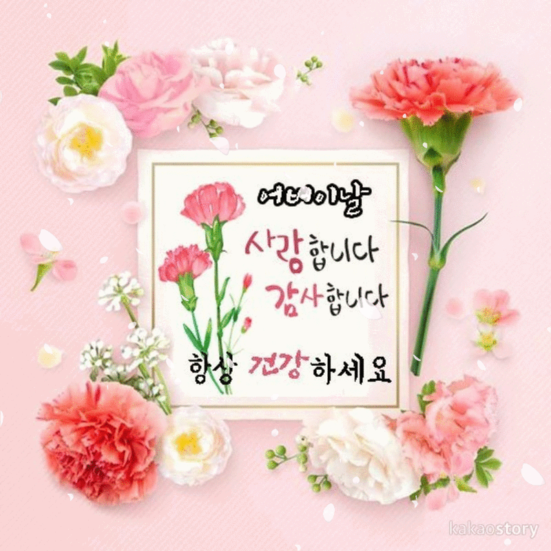 어버이날에 띄우는 카네이션 편지