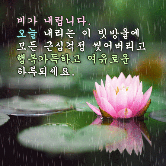 비오는 날이면 항상 생각나는 당신에게