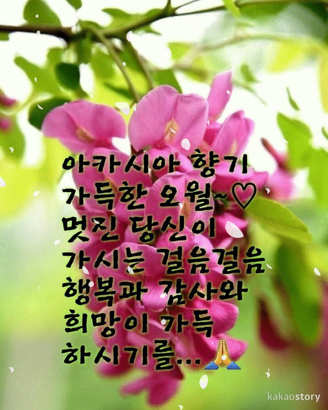 5월의 가운데에서 당신께 드립니다