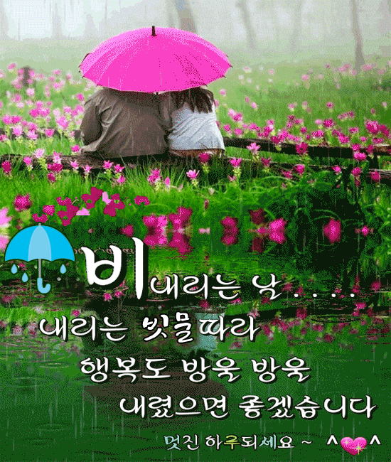 그대도 비처럼 왔으면 좋겠습니다