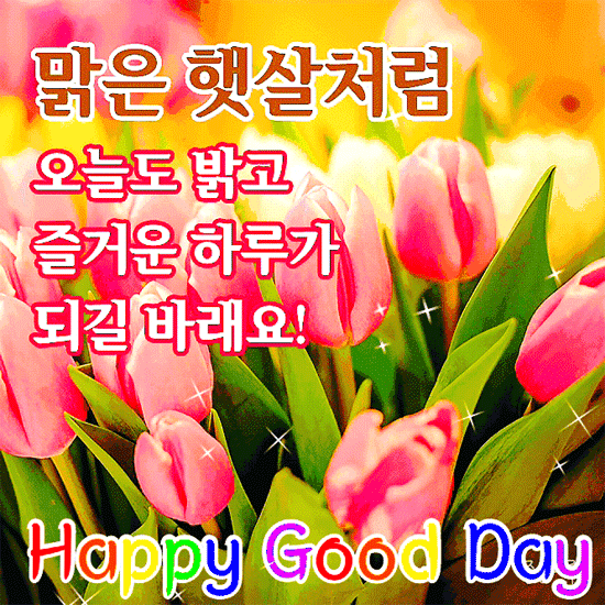 예쁜 하루