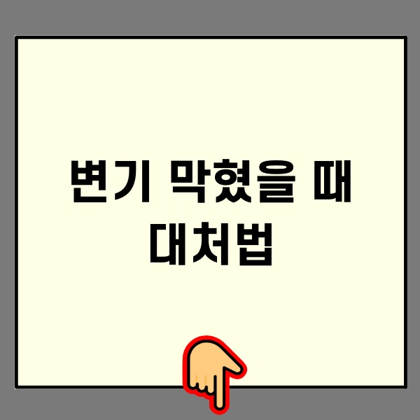 변기 막혔을 때 대처법