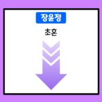 장윤정-초혼