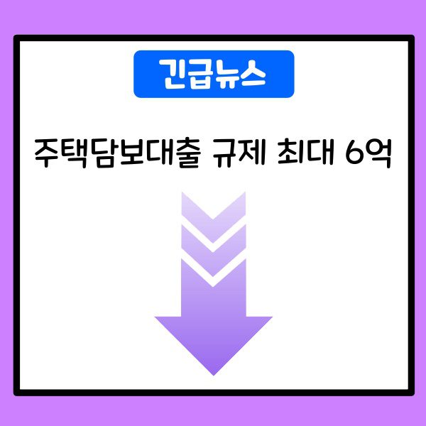 긴급뉴스-주택담보대출 규제 최대 6억
