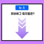 뉴스-러브버그 퇴치법은?