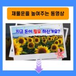 재물운을 높여주는 동영상