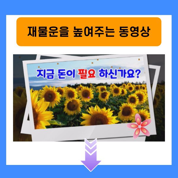 재물운을 높여주는 동영상