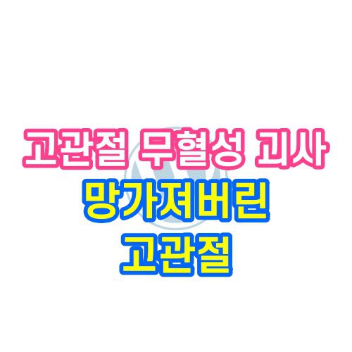 고관절 무혈성 괴사