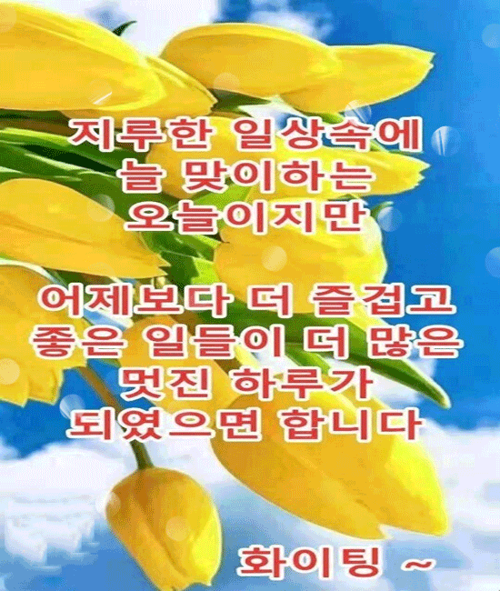 당신은 내 마음의 꽃