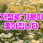 저절로 기분이 좋아지는 영상
