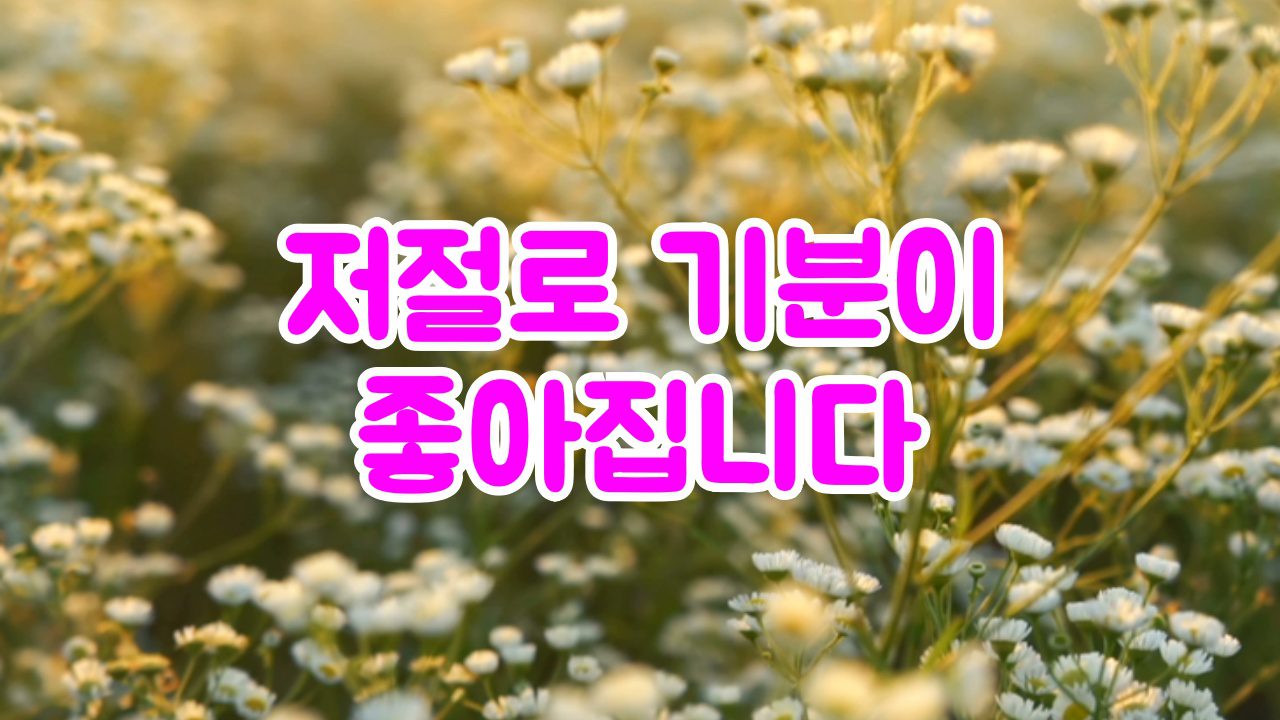 저절로 기분이 좋아지는 영상