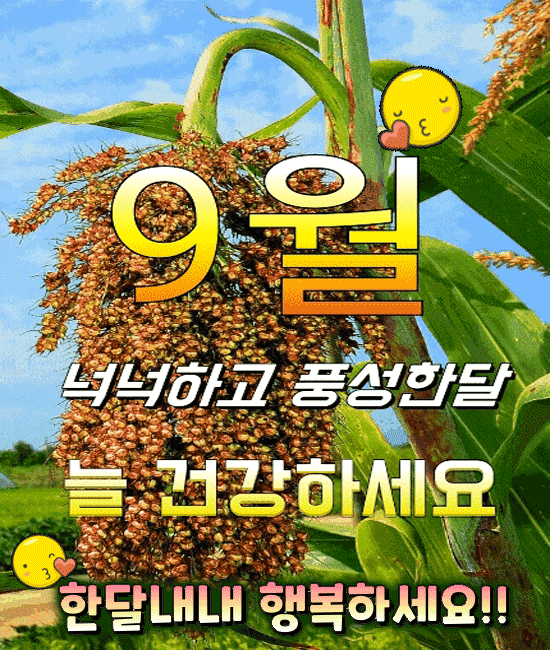 9월의 기도 9월의 기도