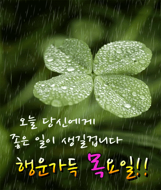 그대도 비처럼 왔으면 좋겠습니다