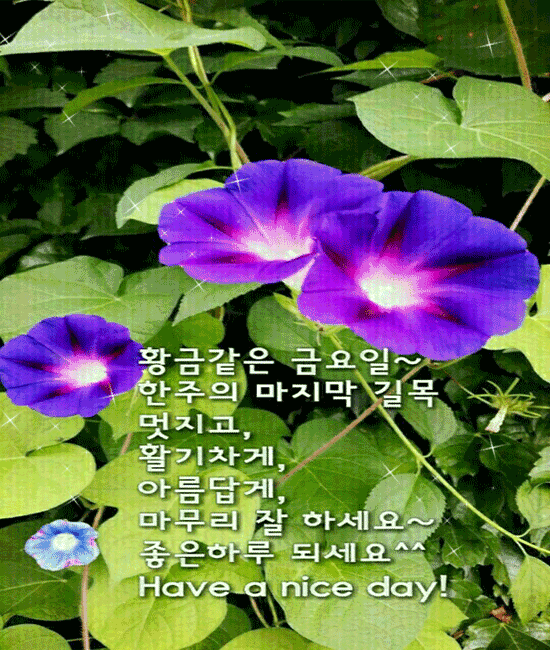 😊 마음을 다스리는 아침