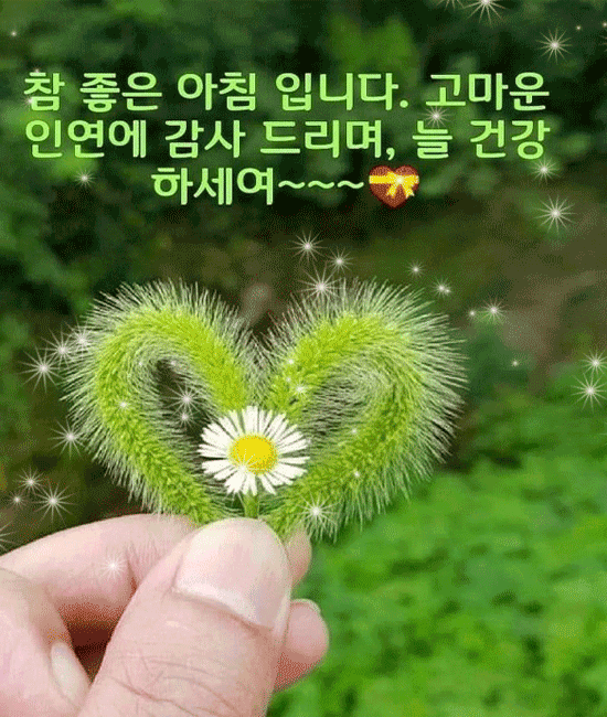 내가 당신에게 웃음이었으면 좋겠습니다.