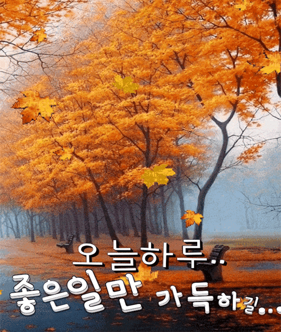 사랑하는 당신에게 드리는 글