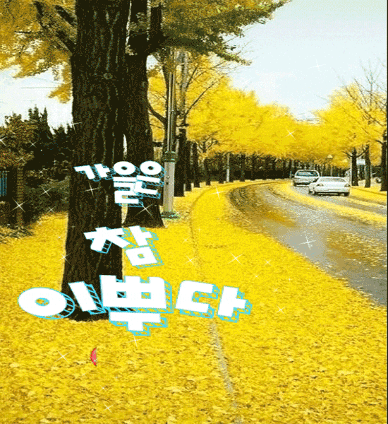 가을에 나를 불러주세요