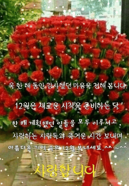 나를 돌아보는 12월