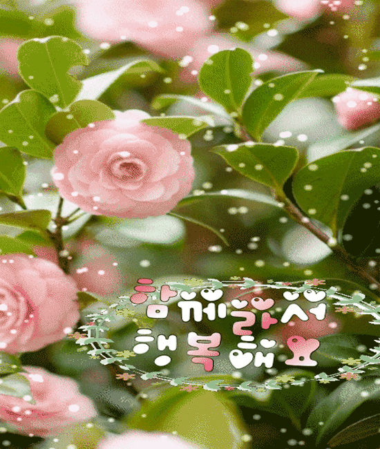 💘 좋은 사람 하나 쯤은..