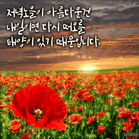 후회없이 아름다운 삶