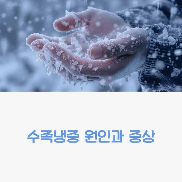 수족냉증 원인과 증상 (4가지원인) 수족냉증 원인과 증상