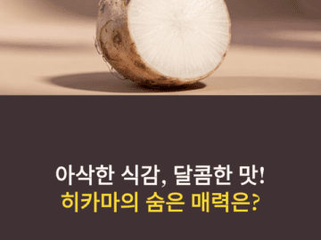 히카마의 효능