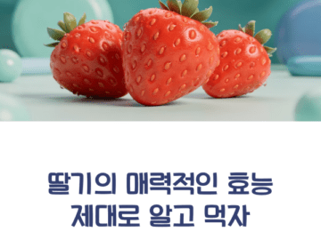 딸기의 효능