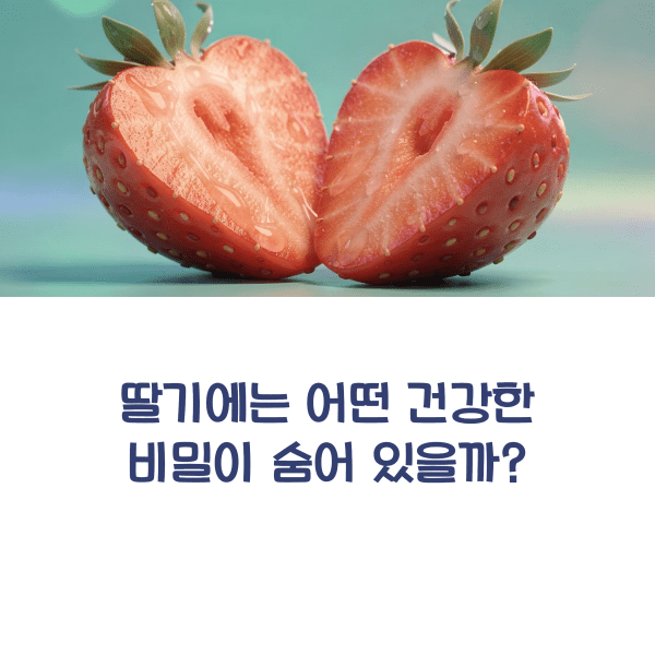 딸기의 효능