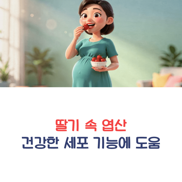 딸기의 효능