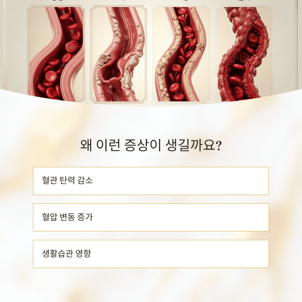 고혈압 초기증상