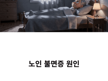 노인 불면증 원인