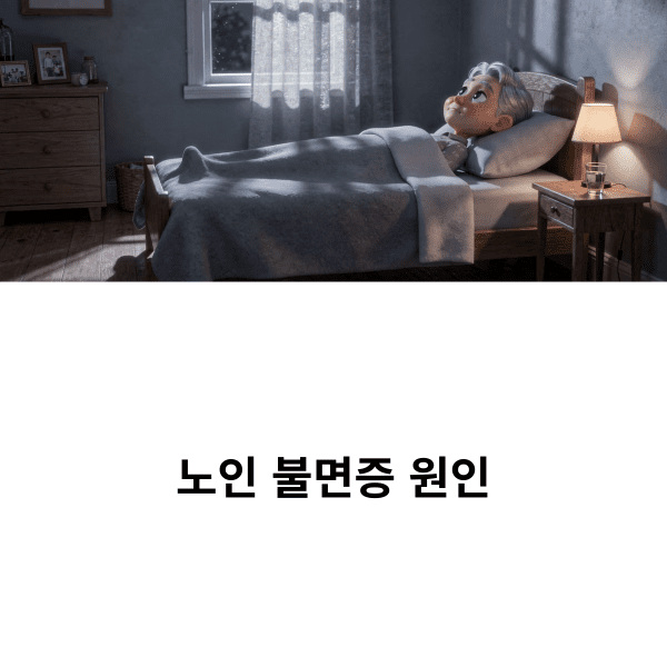 노인 불면증 원인