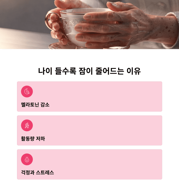 노인 불면증 원인