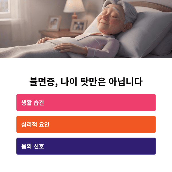 노인 불면증 원인