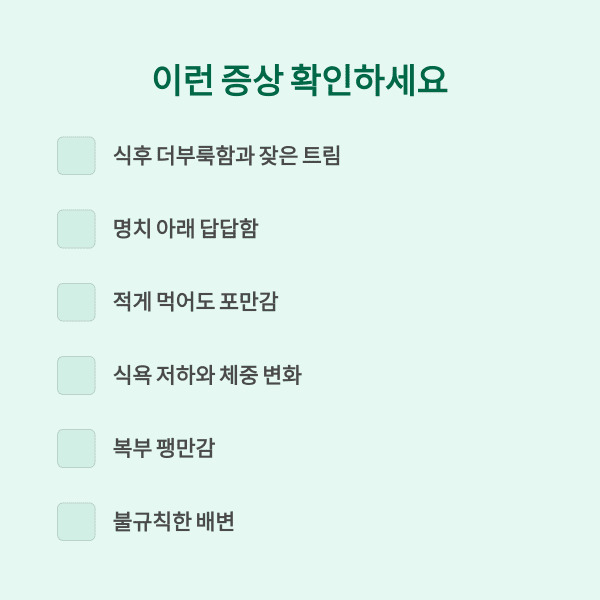 소화 안 될 때 증상