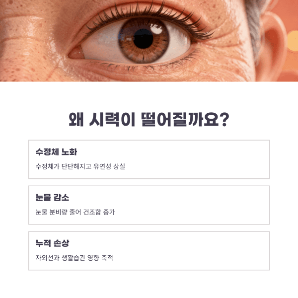 노인 시력 저하
