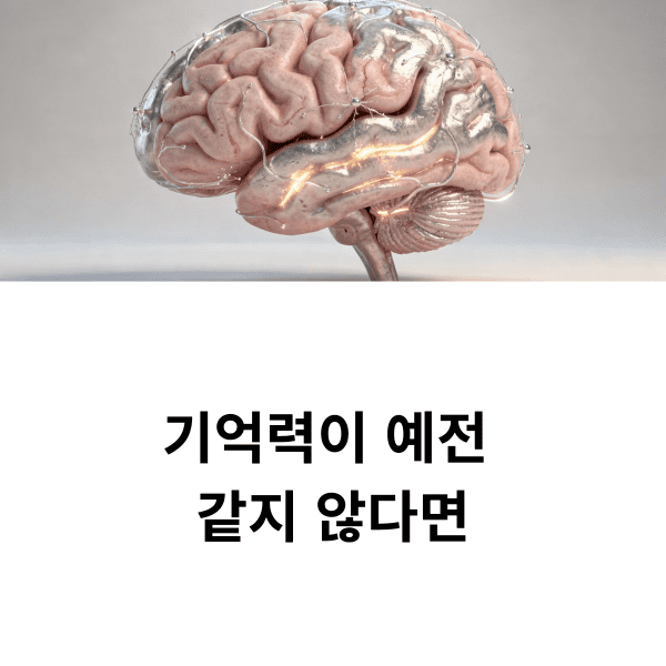 기억력 감퇴 원인
