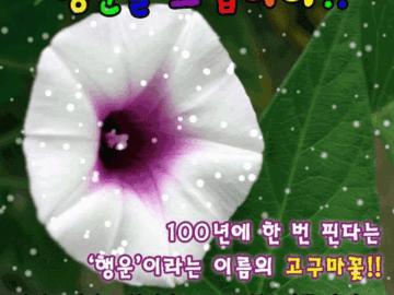 오늘 당신의 하루가