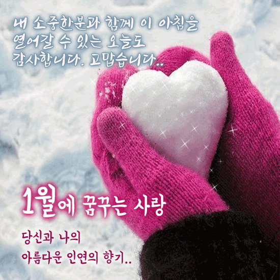 1월에 꿈꾸는 사랑