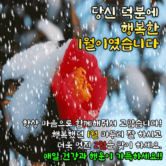1월의 끝자락에 서서