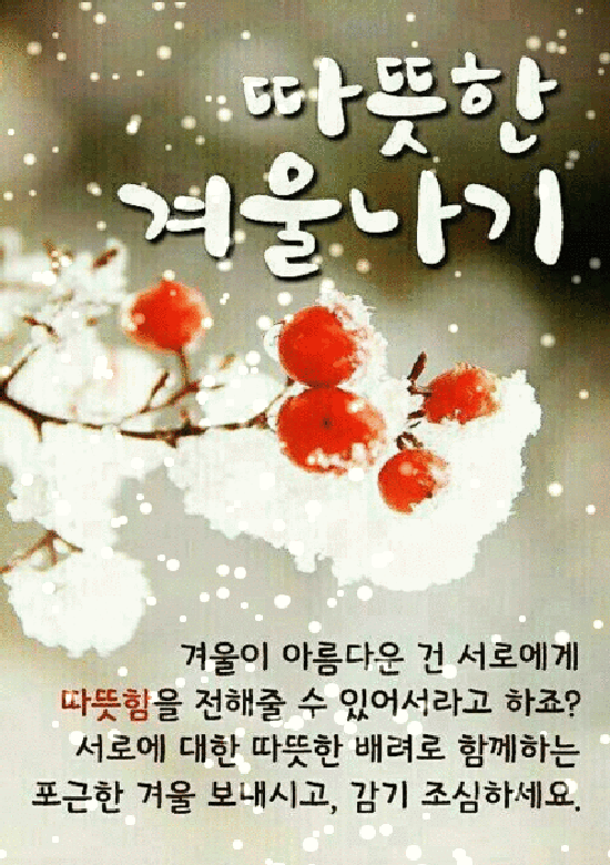 세상에서 가장 예쁜 사랑 고백