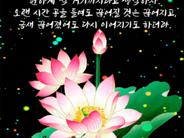 정해진 인연의 시간