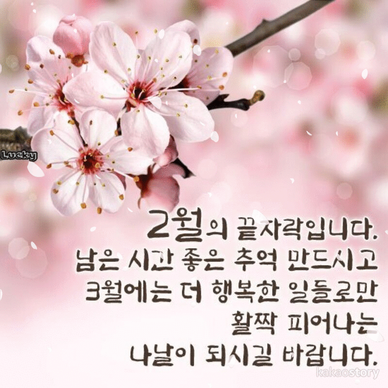 2월을 보내며